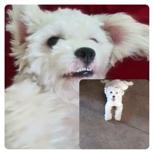 Meet your Posher, Mary